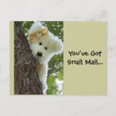 Verbergen en zoeken briefkaart (Voorkant)