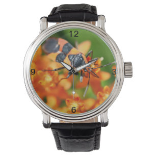 Verbergen in het zicht horloge