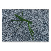 Verbes, Prier Mantis Marcher, Lire Les Cartes Laté (Devant)