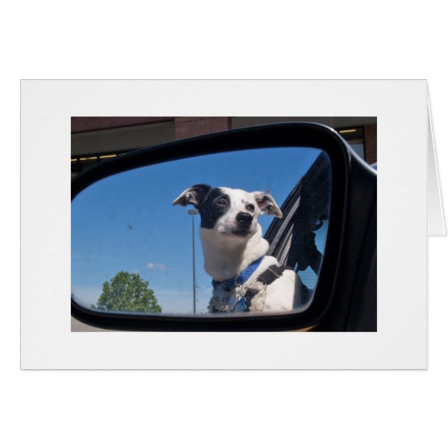 VERBETERING (Voorkant Horizontaal)