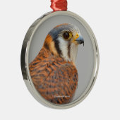 Verbijsterend Amerikaans rugzak Metalen Ornament (Rechts)