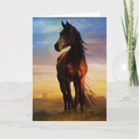 Verbijsterend Silhouette Equine Sympathie