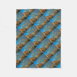 Verbijsterend! Venezia Grand Canal Venice - Pro-fo Fleece Deken