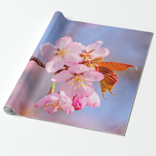 Verbijsterende spanning van de Sakura-bloemen Cadeaupapier