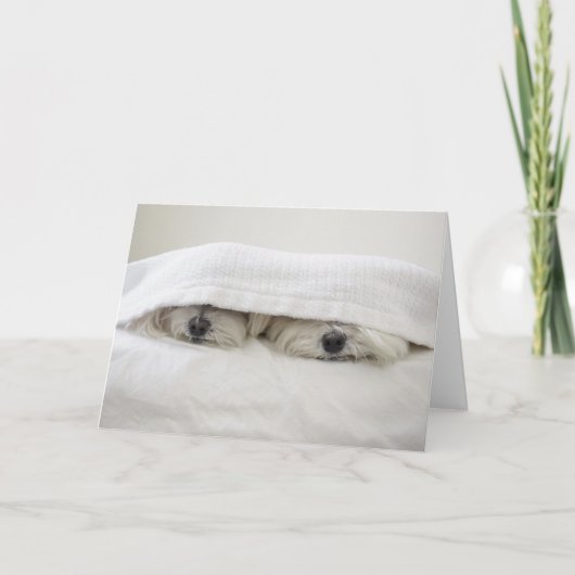 Verblijf in Bed Kaart (Voorkant)