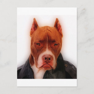 Verbluffend Briefkaart