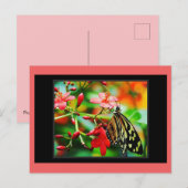 Verbluffend Butterfly Postcrossing Briefkaart (Voorkant / Achterkant)