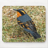 Verbluffend geperste snuffel in de gras muismat (Voorkant)