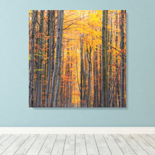 Verbluffend gouden herfstbos canvas afdruk
