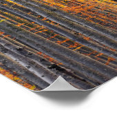 Verbluffend goudherfstbos poster (Hoek)