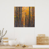 Verbluffend goudherfstbos poster (Keuken)