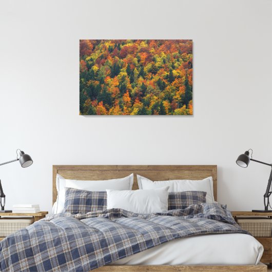 Verbluffend herfstbos canvas afdruk (Insitu (Slaapkamer))