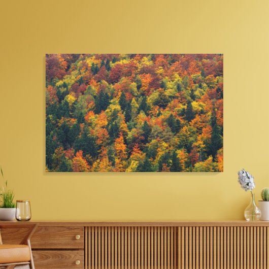 Verbluffend herfstbos canvas afdruk (Insitu (Woonkamer))