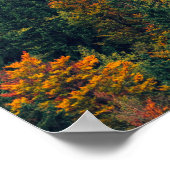 Verbluffend herfstbos poster (Hoek)