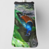 Verbluffend kleurrijk Afrikaans superborst Golfheadcover (Draai 90)