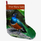 Verbluffend kleurrijk Afrikaans superborst Grote Kerstsok (Voorkant)