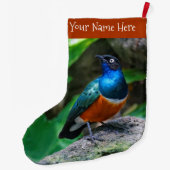 Verbluffend kleurrijk Afrikaans superborst Grote Kerstsok (Achterkant)