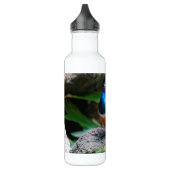 Verbluffend kleurrijk Afrikaans superborst Waterfles (Links)