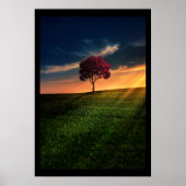 Verbluffend landschap met een rode boom op zonsond poster (Voorkant)