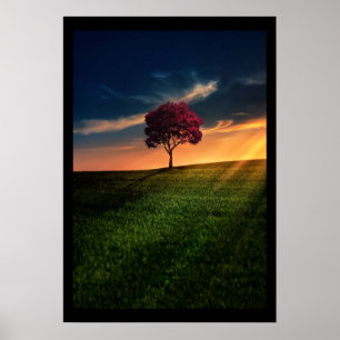 Verbluffend landschap met een rode boom op zonsond poster