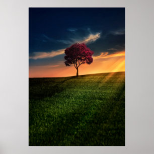 Verbluffend landschap met een rode boom op zonsond poster