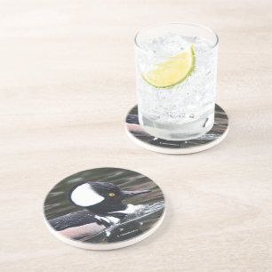 Verbluffend Merganser Duck zwemt door Zandsteen Onderzetter