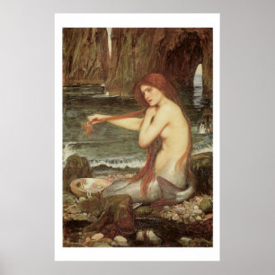 Verbluffend mooie Victoriaans Art Mermaid Print