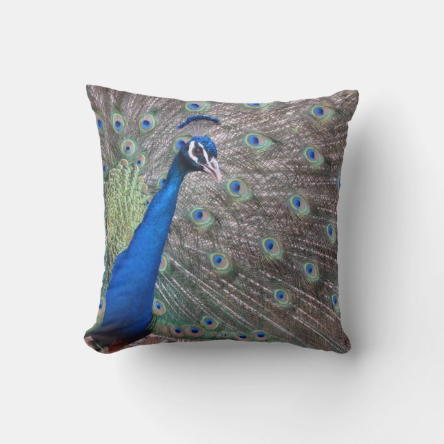 Verbluffend  Peacock Kussen (Voorkant)