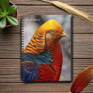 Verbluffend profiel van een roodbruin notitieboek