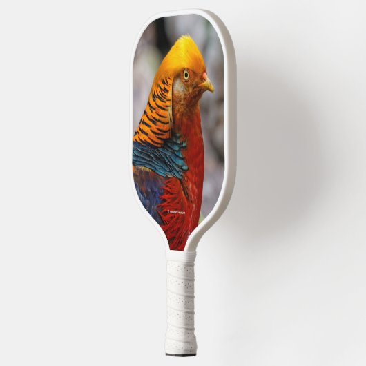 Verbluffend profiel van een roodbruine goeroevogel pickleball paddle (Links)