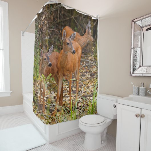 Verbluffend Trio van Blacktail Deer in het bos Douchegordijn (In situ)