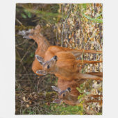 Verbluffend Trio van Blacktail Deer in het bos Fleece Deken (Voorkant)
