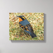 Verbluffend variabel spruitje op het gazon canvas afdruk (Voorkant)