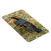 Verbluffend variabel spruitje op het gazon magneet (Rechterzijde)