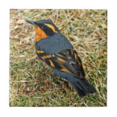 Verbluffend variabel spruitje op het gazon tegeltje (Voorkant)