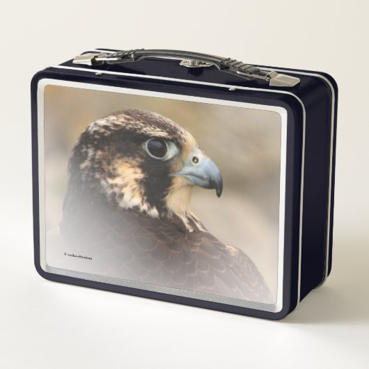 Verbluffend Vignetted Profiel van een Peregrine Fa (Achterkant)