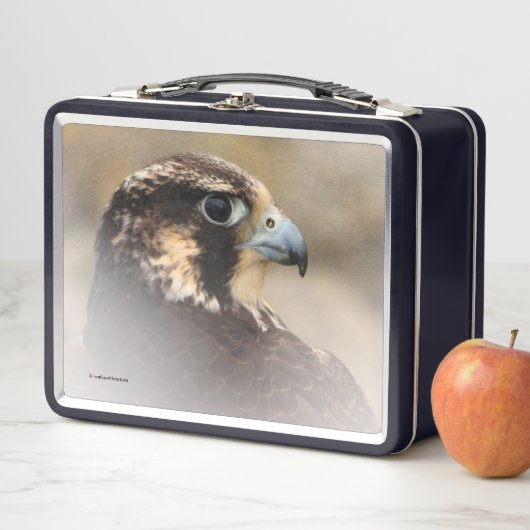 Verbluffend Vignetted Profiel van een Peregrine Fa (In situ)