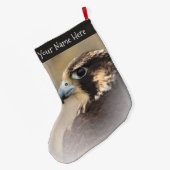 Verbluffend Vignetted Profiel van een Peregrine Fa Grote Kerstsok (Achterkant (Hangend))