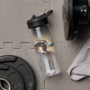 Verbluffend Vignetted Profiel van een Peregrine Fa Waterfles