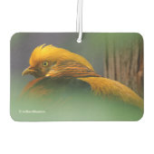 Verbluffend Vignetted Profile van een Golden Pheas Luchtverfrisser (Achterkant)