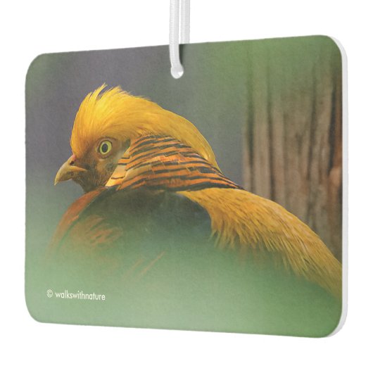 Verbluffend Vignetted Profile van een Golden Pheas Luchtverfrisser (Links)