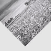 Verbluffend zwart-wit foto van zonnebloem tissuepapier (Detail)