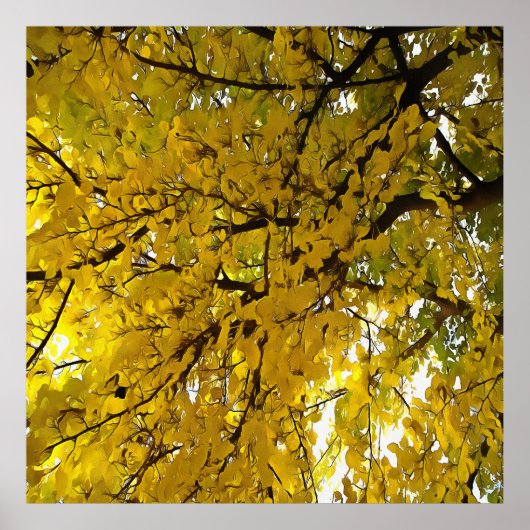 Verbluffende Abstracte kunst in de herfst van de b Poster (Voorkant)