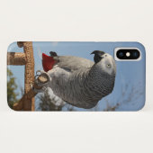 Verbluffende Afrikaanse grijze papegaai Case-Mate iPhone Case (Achterkant (horizontaal))