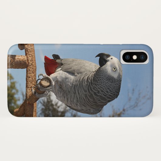 Verbluffende Afrikaanse grijze papegaai Case-Mate iPhone Case (Achterkant (horizontaal))