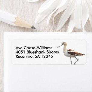 Verbluffende Amerikaanse antivocetvogel die het st Etiket