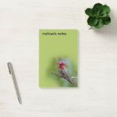 Verbluffende Anna's Hummingbird op fruitbomen Post-it® Notes (Kantoor)