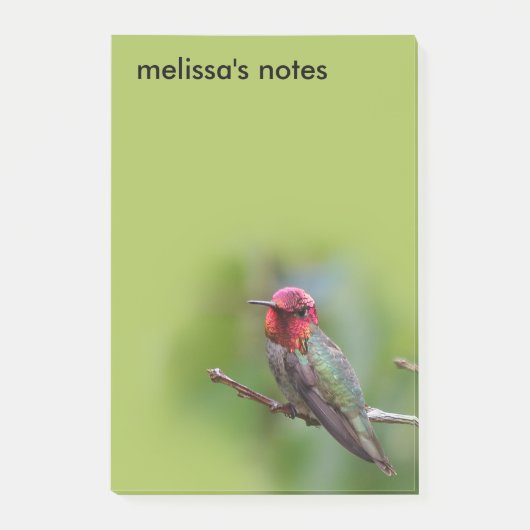 Verbluffende Anna's Hummingbird op fruitbomen Post-it® Notes (Voorkant)