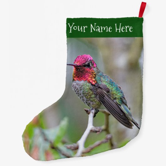 Verbluffende Anna's Hummingbird op Plum Tree Branc Grote Kerstsok (Achterkant)