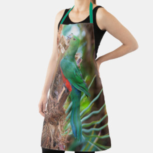 Verbluffende Australische Koning Parrot die een bo Schort